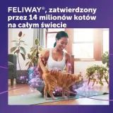 feliway-classic-spray-60-ml-dla-kota-rodzaj-spray