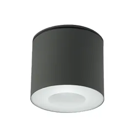 lampa-sufitowa-na-zewnatrz-spot-tuba-grafitowa-nowoczesna-na-balkon-hexa