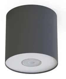 lampa-sufitowa-spot-tuba-grafitowa-do-kuchni-salonu-sypialni-point-m