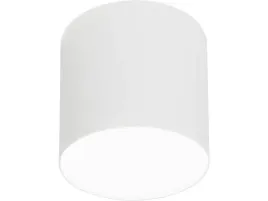 lampa-sufitowa-biala-spot-tuba-do-przedpokoju-kuchni-biura-point-plexi-m