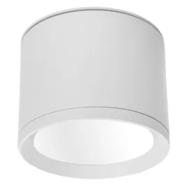 lampa-sufitowa-natynkowa-tuba-biala-do-salonu-przedpokoju-kuchni-ip44-cy37