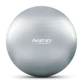 pilka-do-cwiczen-gimnastyczna-fitness-rehabilitacja-z-pompka-65cm-neo-sport