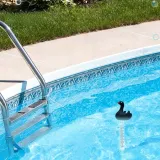 termometr-plywajacy-do-basenu-spa-jacuzzi-labedz-stan-nowy