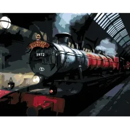 malowanie-po-numerach-obrazy-do-malowania-express-do-hogwartu-noca-50x40-cm