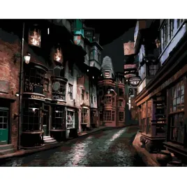 malowanie-po-numerach-obrazy-do-malowania-harry-potter-pokatna-50x40-cm
