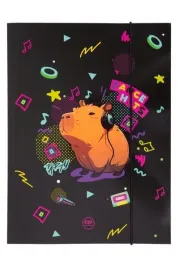 coolpack-teczka-kartonowa-a4-z-gumka-capybara-music