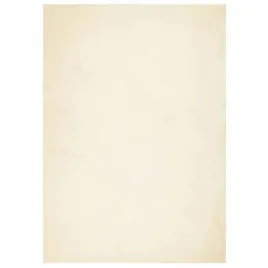 dywan-huarte-z-krotkim-wlosiem-kremowy-120x170-cm