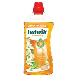 ludwik-baking-soda-plyn-uniwersalny-pomarancza-i-trawa-cytrynowa-1000ml