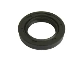 uszczelniacz-walu-20x30x6-zipp-quantum-2t-prawy-skuter-2t