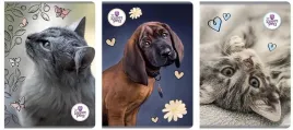 zeszyt-a4-60k-kratka-the-sweet-pets-5szt
