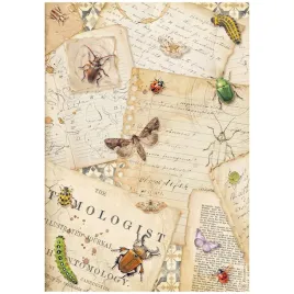 papier-ryzowy-do-decoupage-a4-stamperia-all-around-listy