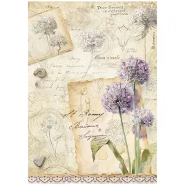 papier-ryzowy-do-decoupage-a4-stamperia-all-around-czosnek