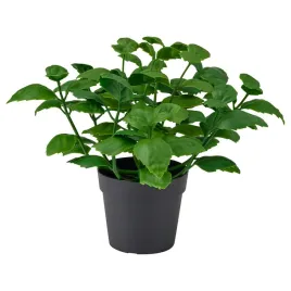 sztuczna-bazylia-9-cm-roslina-doniczkowa-fejka