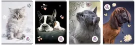 zeszyt-a5-80k-linia-the-sweet-pets-5szt