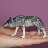 lesny-wilk-polujacy-marka-collecta