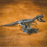 crazy-science-smoki-i-dinozaury-material-karton-plastik