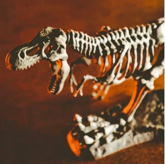 crazy-science-smoki-i-dinozaury-certyfikaty-opinie-atesty-ce-en-71