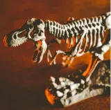 crazy-science-smoki-i-dinozaury-certyfikaty-opinie-atesty-ce-en-71