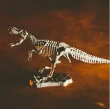 crazy-science-smoki-i-dinozaury-wiek-dziecka-7-lat