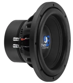 subwoofer-25cm-glosnik-basowy-bassface-indy-b10-2-600w-rms-2x2ohm