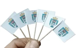 wykalaczki-mini-flagi-z-herbami-miast-10-sztuk