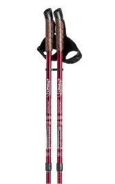 kije-trekkingowe-do-nordic-walking-kije-do-chodzenia-w-gory-czerwony