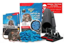 trucizna-trutka-przeciwko-myszom-no-pest