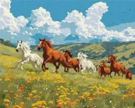 malowanie-po-numerach-sila-i-wdziek-40x50cm