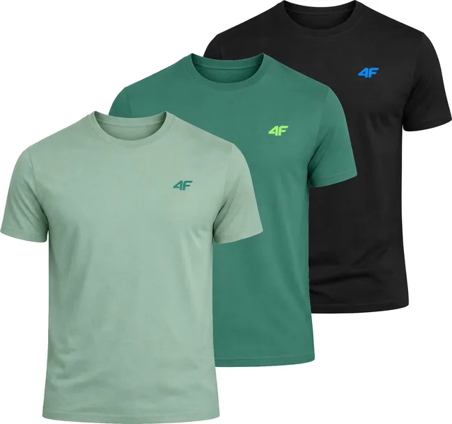 Męska koszulka zestaw 3 sztuk 4F T-shirt 3-pak TSHM3986 20S+43S+41S M