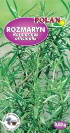 rozmaryn-lekarski-005-g-polan