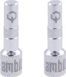 ambit-tubeless-valve-adapters-realm-silver