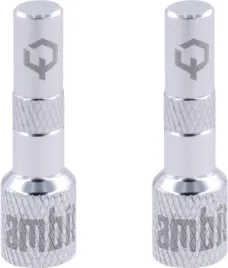 ambit-tubeless-valve-adapters-realm-silver