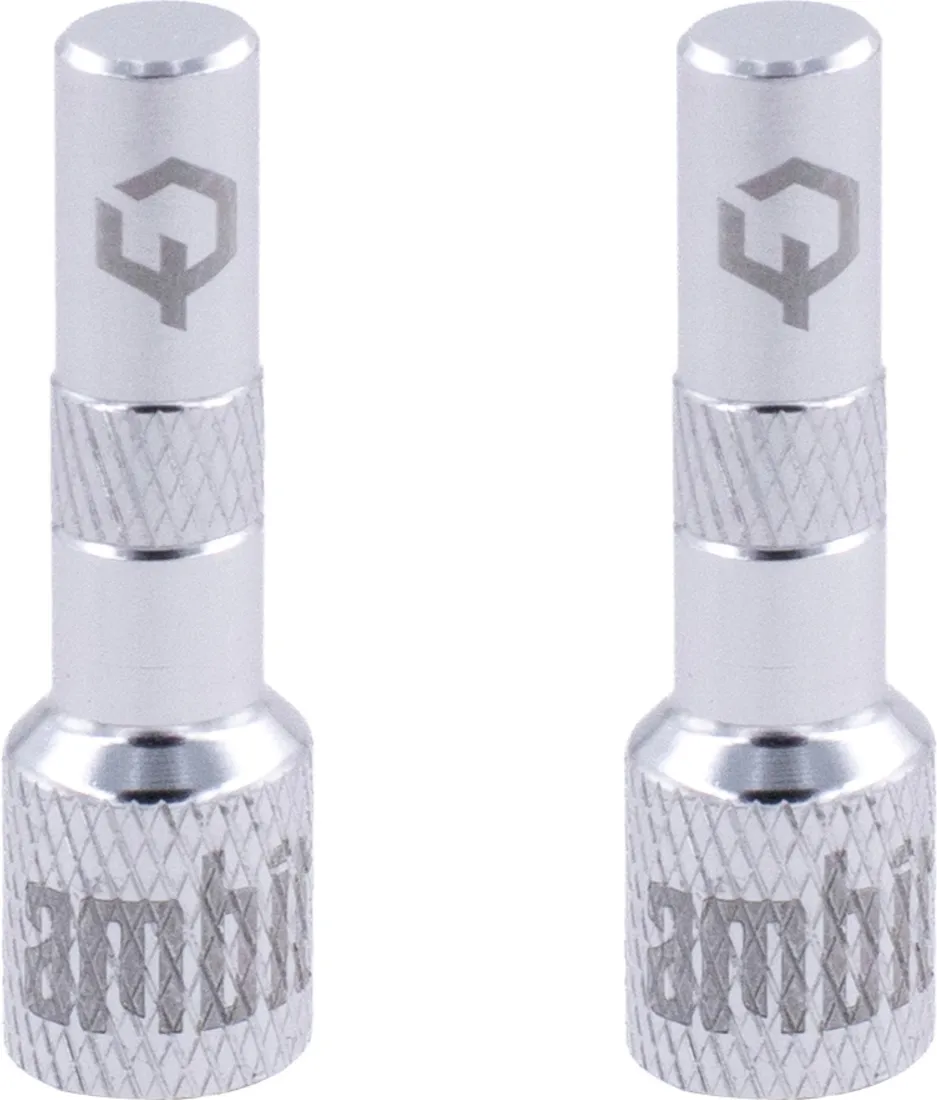 ambit-tubeless-valve-adapters-realm-silver