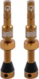 ambit-valve-stem-realm-brown