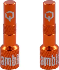 ambit-tubeless-valve-adapters-realm-orange