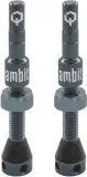 ambit-valve-stem-realm-ambit-blue-grey