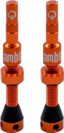 ambit-valve-stem-realm-oragne