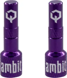 ambit-tubeless-valve-adapters-realm-purple