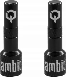 ambit-tubeless-valve-adapters-realm-black