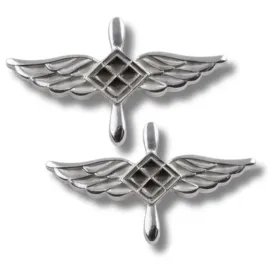 korpusowki-wojsk-lotniczych-personel-naziemny-wp-2-sztuki-komplet