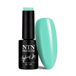 lakier-hybrydowy-led-uv-gel-polish-ntn-premium-california-collection-nr-137-hema-di-hema-free-5g