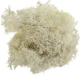 mech-chrobotek-bezowy-20g-stan-opakowania-oryginalne