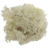 mech-chrobotek-bezowy-20g-wysokosc-produktu-11-6-cm