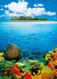 fototapeta-papierowa-treasure-island-183x254cm