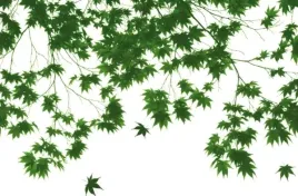 plakat-fototapeta-papierowa-autumn-leaves-175x115cm