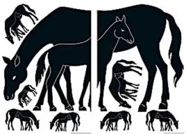 mare-and-foal-naklejka-na-sciane