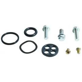 zestaw-naprawczy-kranika-all-balls-honda-trx-250-r-86-89-wytrzymaly