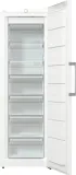 gorenje-zamrazarka-fn619eew5-model-fn619eew5