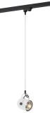 argon-4312-net-zwis-1-pl