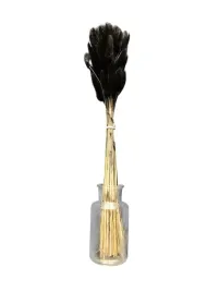 suszony-lagurus-dmuszek-jajowaty-wrzosowy-wysokosc-44-cm-czarny